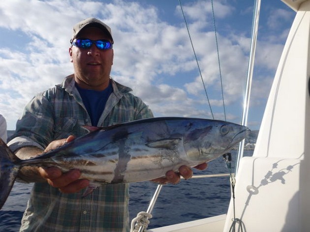 Skipjack Tuna Cavalier & Blue Marlin Sport Fishing Gran Canaria