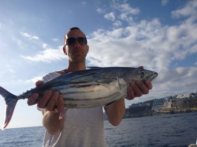 Skipjack Tuna Cavalier & Blue Marlin Sport Fishing Gran Canaria