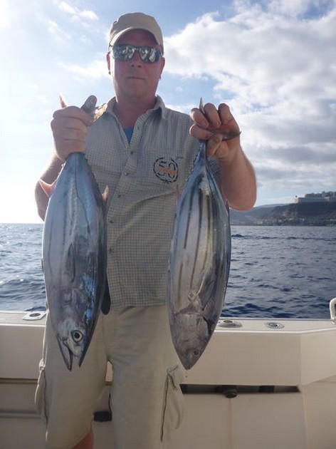 Skipjack Tuna Cavalier & Blue Marlin Sport Fishing Gran Canaria