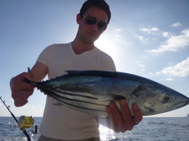 Skipjack Tuna Cavalier & Blue Marlin Sport Fishing Gran Canaria