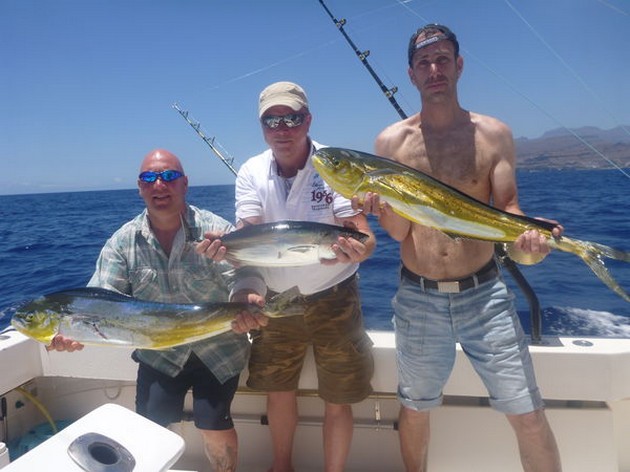 Dorado's Cavalier & Blue Marlin Sport Fishing Gran Canaria