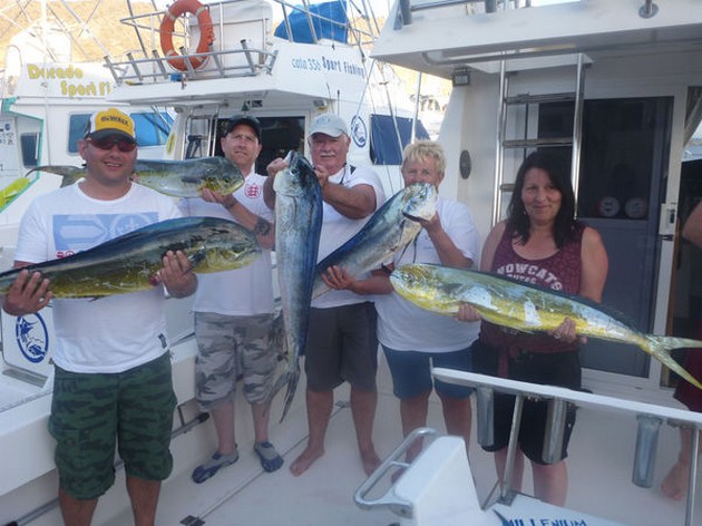 Dorado's & Skipjacks Cavalier & Blue Marlin Sport Fishing Gran Canaria