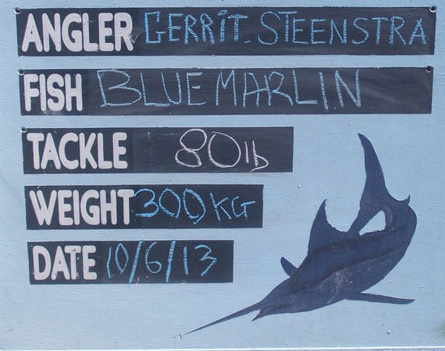 Blue Marlin 300 kg Cavalier & Blue Marlin Sport Fishing Gran Canaria