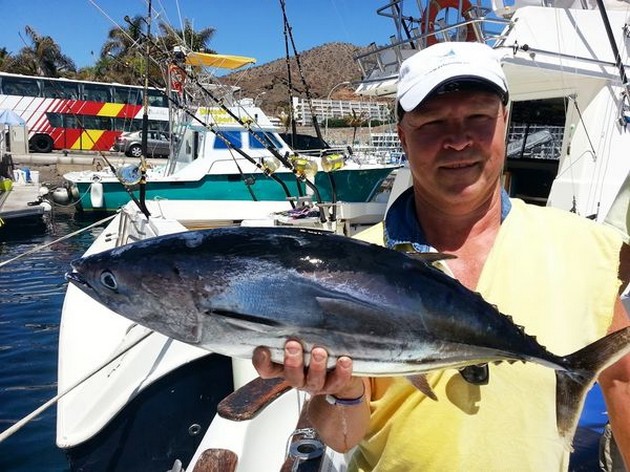Skipjack Tuna Cavalier & Blue Marlin Sport Fishing Gran Canaria