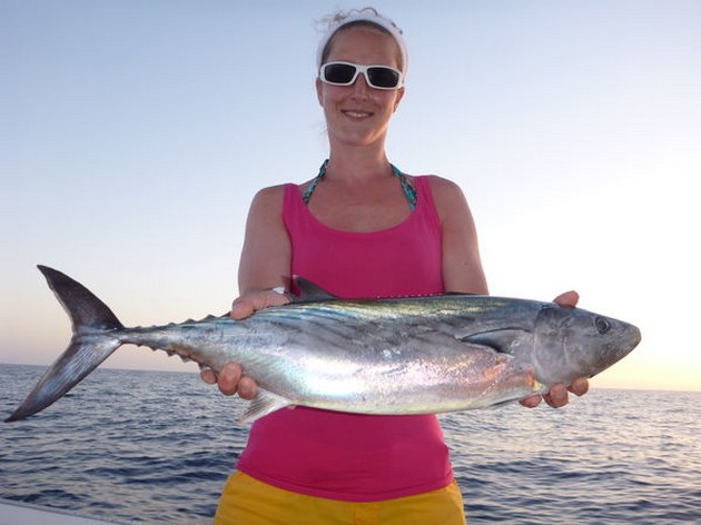 Atlantic Sierra Tuna Cavalier & Blue Marlin Sport Fishing Gran Canaria