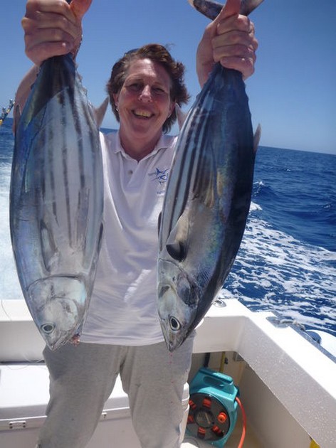 Skipjack Tuna Cavalier & Blue Marlin Sport Fishing Gran Canaria