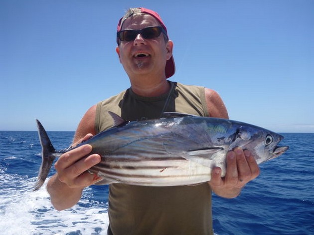 Skipjack Tuna Cavalier & Blue Marlin Sport Fishing Gran Canaria