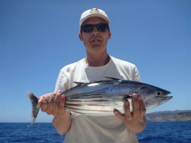 Skipjack Tuna Cavalier & Blue Marlin Sport Fishing Gran Canaria