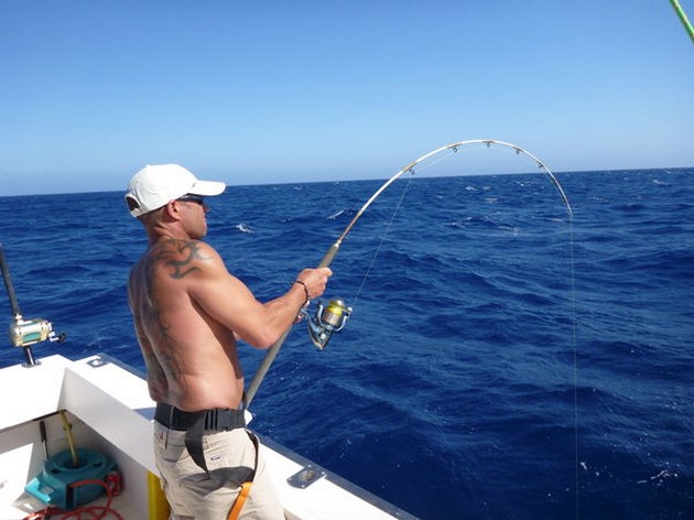 Hooked Up Cavalier & Blue Marlin Sport Fishing Gran Canaria