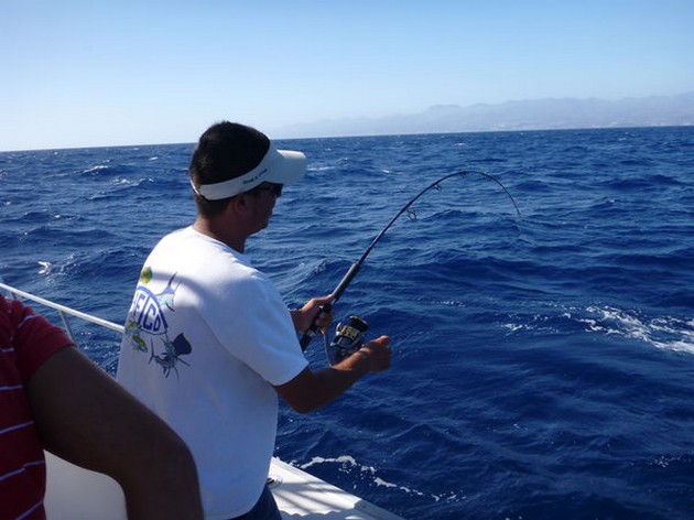 Hooked Up Cavalier & Blue Marlin Sport Fishing Gran Canaria