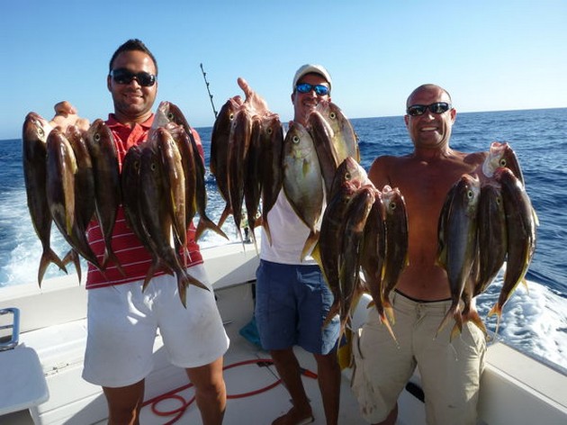 Amberjacks Cavalier & Blue Marlin Sport Fishing Gran Canaria