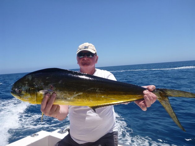 Dorado Cavalier & Blue Marlin Sport Fishing Gran Canaria