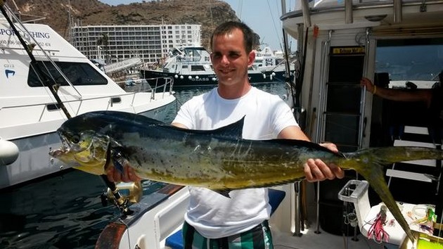 Dorado Cavalier & Blue Marlin Sport Fishing Gran Canaria