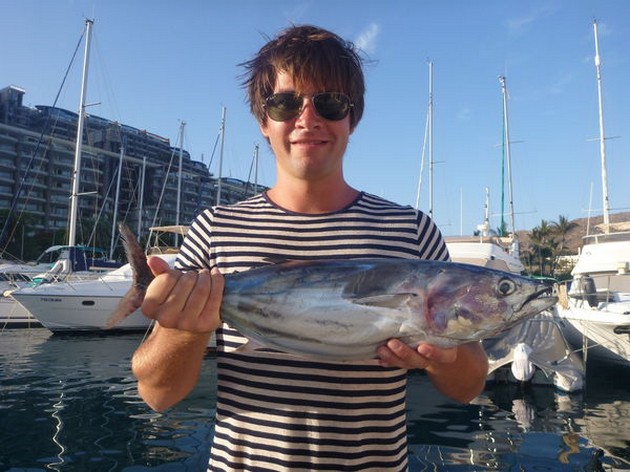 Skipjack Tuna Cavalier & Blue Marlin Sport Fishing Gran Canaria