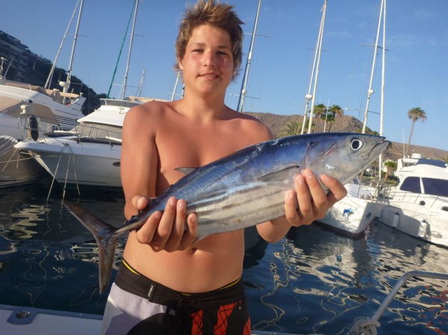 Skipjack Tuna Cavalier & Blue Marlin Sport Fishing Gran Canaria