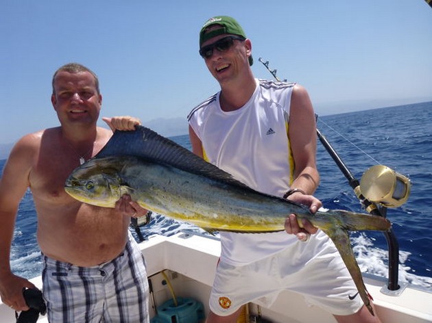 Dorado Cavalier & Blue Marlin Sport Fishing Gran Canaria