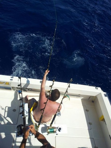 Hooked Up Cavalier & Blue Marlin Sport Fishing Gran Canaria