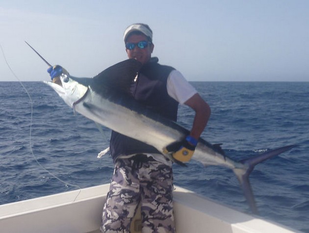 White Marlin Cavalier & Blue Marlin Sport Fishing Gran Canaria