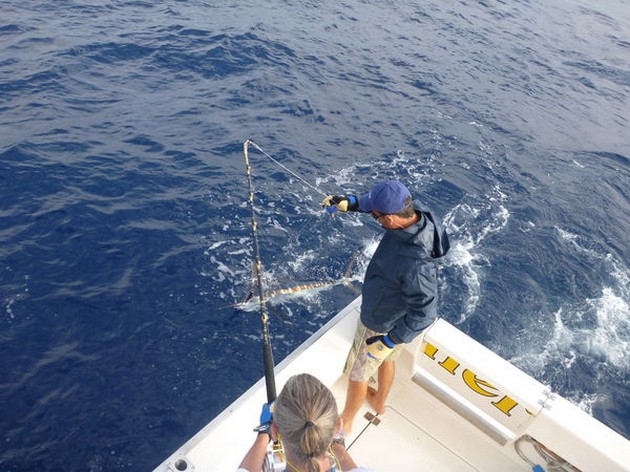 Spearfish Cavalier & Blue Marlin Sport Fishing Gran Canaria