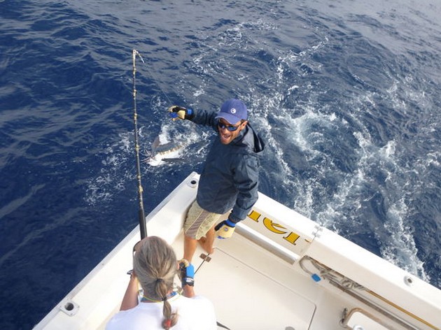 Spearfish Cavalier & Blue Marlin Sport Fishing Gran Canaria