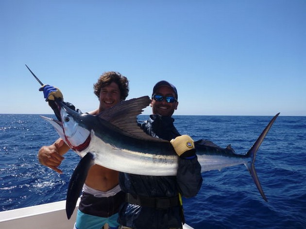 White Marlin Cavalier & Blue Marlin Sport Fishing Gran Canaria