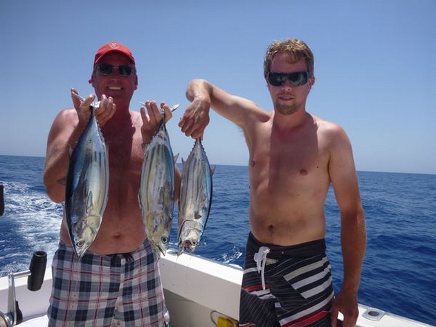 Skipjack Tunas Cavalier & Blue Marlin Sport Fishing Gran Canaria