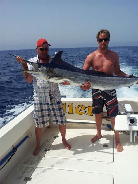 Spjut fisk Cavalier & Blue Marlin Sport Fishing Gran Canaria