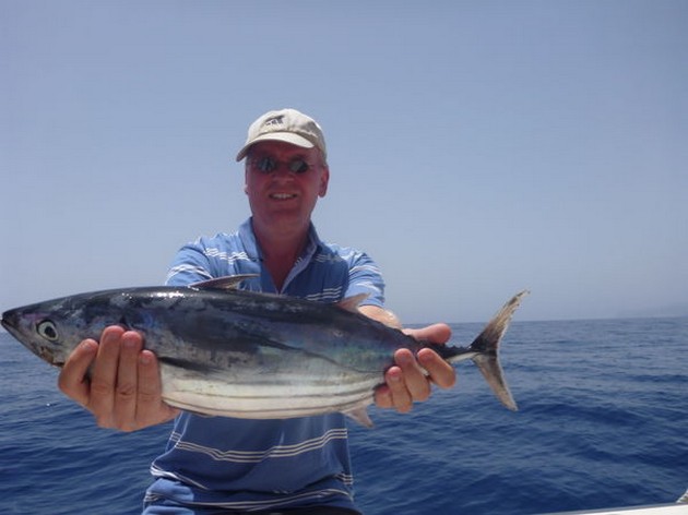 Skipjack Tuna Cavalier & Blue Marlin Sport Fishing Gran Canaria
