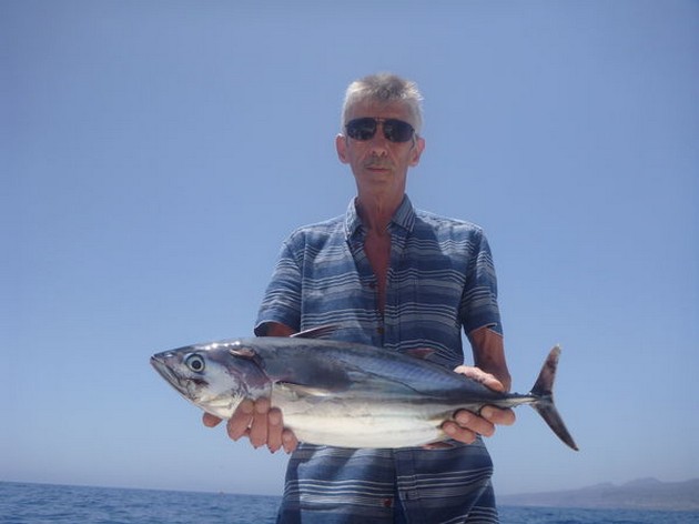 Skipjack Tuna Cavalier & Blue Marlin Sport Fishing Gran Canaria