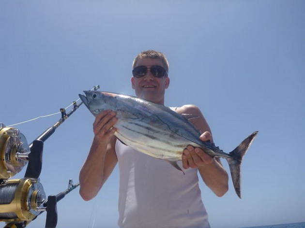 Skipjack Tuna Cavalier & Blue Marlin Sport Fishing Gran Canaria
