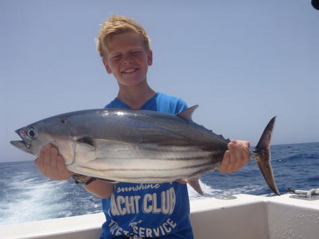 Skipjack Tuna Cavalier & Blue Marlin Sport Fishing Gran Canaria