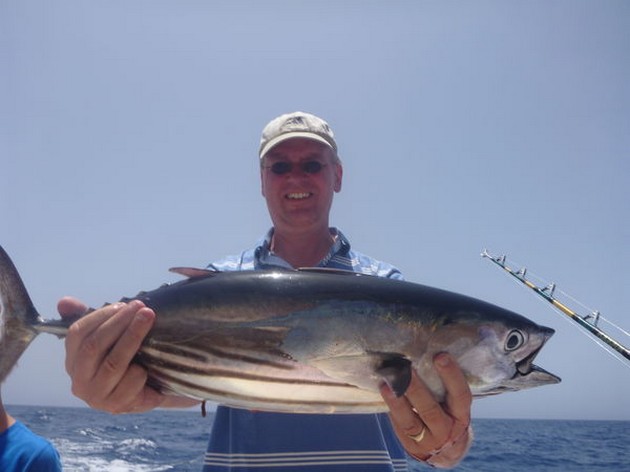 Skipjack Tuna Cavalier & Blue Marlin Sport Fishing Gran Canaria
