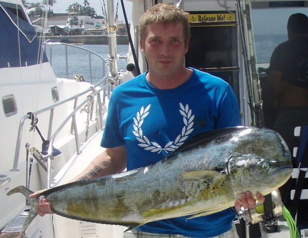Dorado Cavalier & Blue Marlin Sport Fishing Gran Canaria