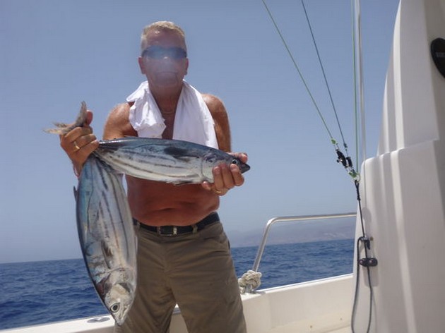 Skipjack Tuna Cavalier & Blue Marlin Sport Fishing Gran Canaria