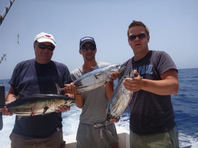 Skipjack Tuna Cavalier & Blue Marlin Sport Fishing Gran Canaria