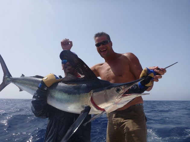 White Marlin Cavalier & Blue Marlin Sport Fishing Gran Canaria
