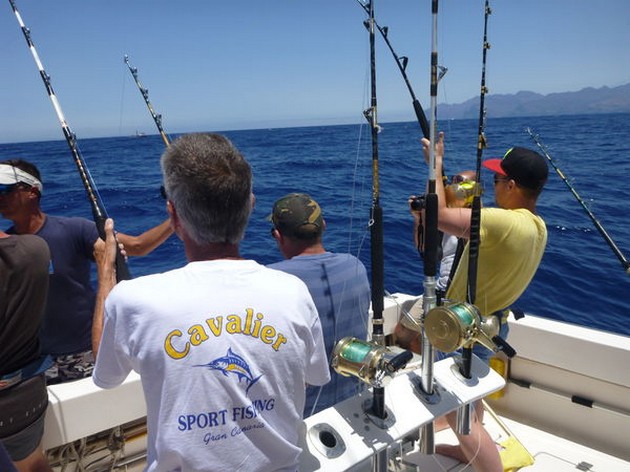 Hooked Up Cavalier & Blue Marlin Sport Fishing Gran Canaria