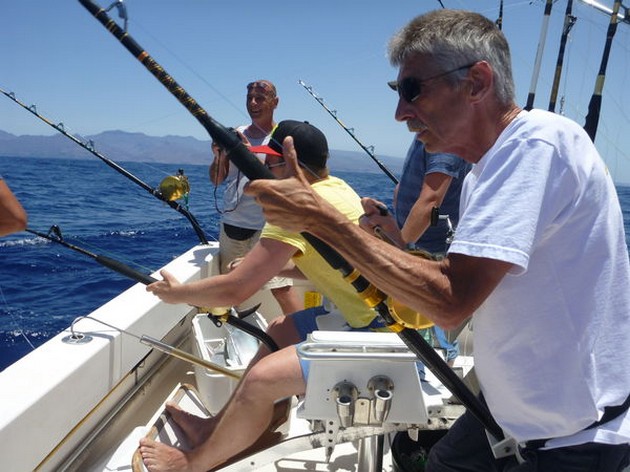 Hooked Up Cavalier & Blue Marlin Sport Fishing Gran Canaria