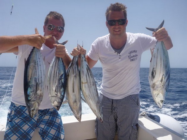 Skipjack Tuna Cavalier & Blue Marlin Sport Fishing Gran Canaria