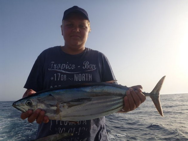 Skipjack Tuna Cavalier & Blue Marlin Sport Fishing Gran Canaria