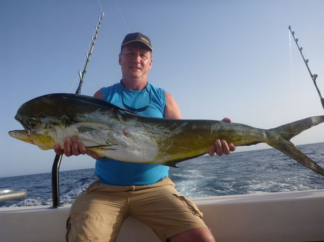 Dorado Cavalier & Blue Marlin Sport Fishing Gran Canaria