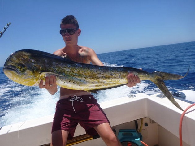 Dorado Cavalier & Blue Marlin Sport Fishing Gran Canaria