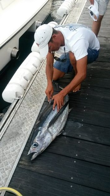 sushi Cavalier & Blue Marlin Sport Fishing Gran Canaria