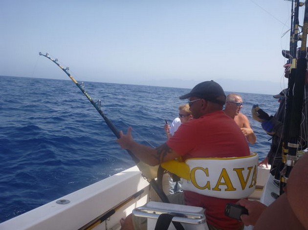 Hooked Up Cavalier & Blue Marlin Sport Fishing Gran Canaria