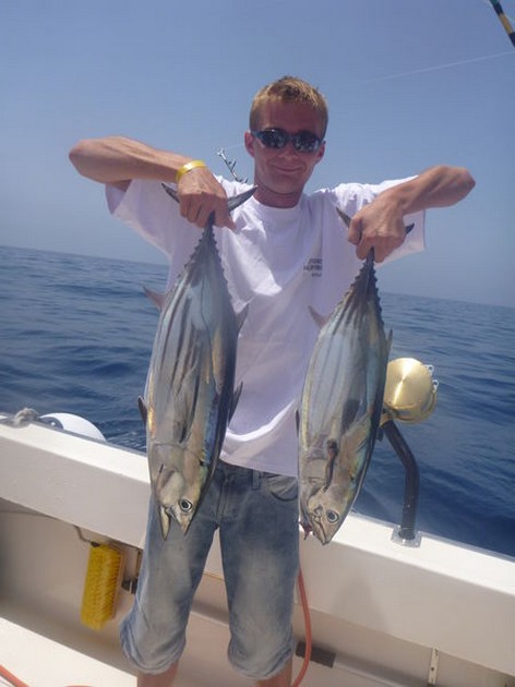 Skipjack Tunas Cavalier & Blue Marlin Sport Fishing Gran Canaria