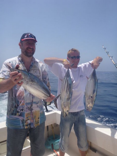 Skipjack Tunas Cavalier & Blue Marlin Sport Fishing Gran Canaria