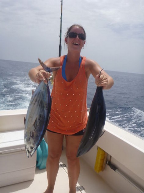 Skipjack Tunas - Skipjacks caught on the Cavalier Cavalier & Blue Marlin Sport Fishing Gran Canaria