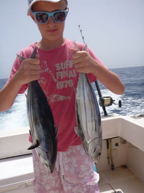 Skipjack Tunas Cavalier & Blue Marlin Sport Fishing Gran Canaria
