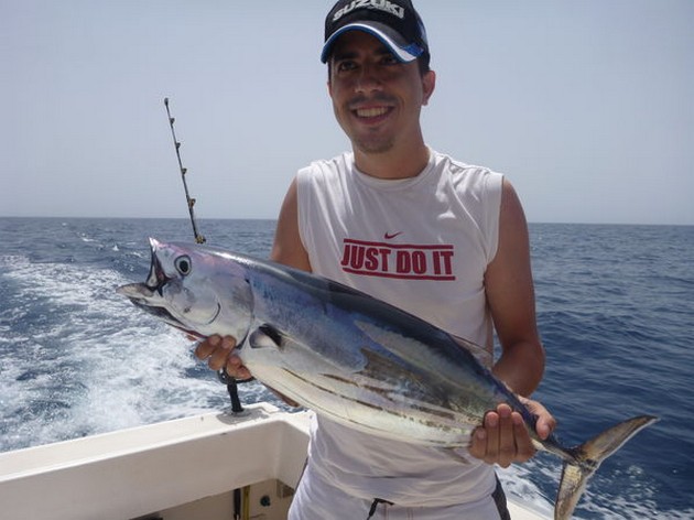 Skipjack Tuna  on the boat Cavalier Cavalier & Blue Marlin Sport Fishing Gran Canaria