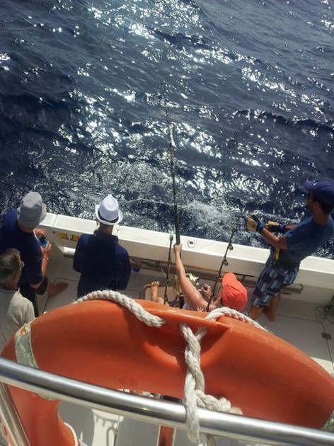 Hooked Up Cavalier & Blue Marlin Sport Fishing Gran Canaria